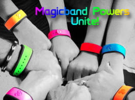 magicband21