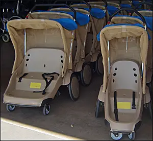 how much is it to rent a stroller in disney world