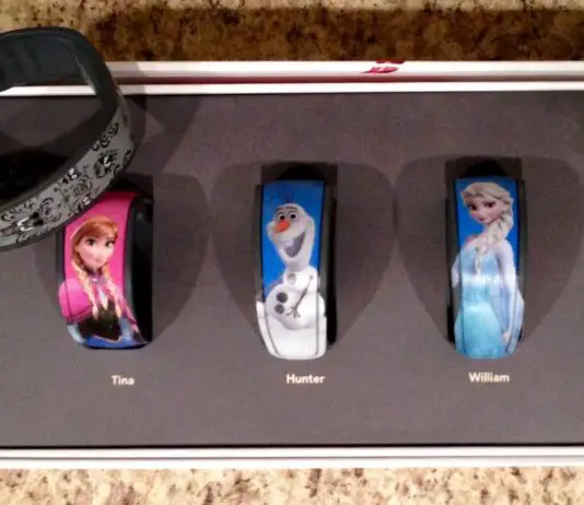 MagicBandsFrozen