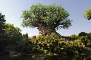 History Behind the Tree of Life and It's Tough to Be a Bug