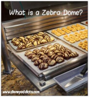 What Is A Zebra Dome