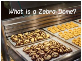 What Is A Zebra Dome
