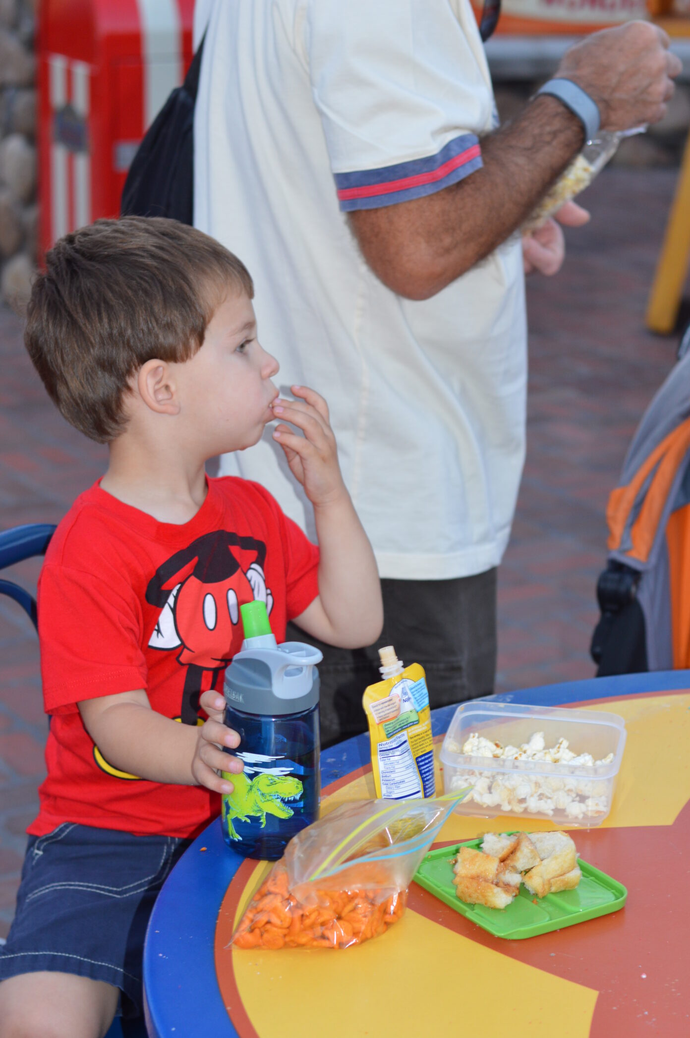 can-i-bring-food-into-the-disney-parks