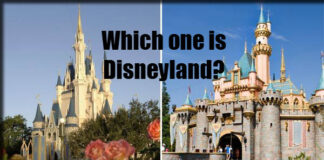 orl disneyland vs disney world castles picture