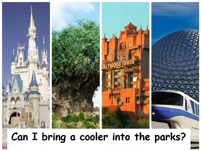 Can I Bring Outside Food into Walt Disney World