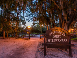 Disneys Fort Wilderness Resort