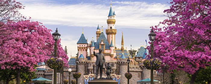 A Solo Trip to Disneyland - Pros and Cons 1