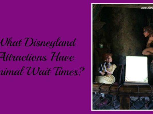 disneyland wait times