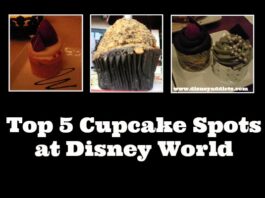 wdw cupcakes