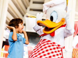 Chef Mickeys Donald