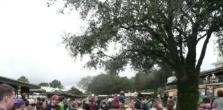 Disney Crowds 1
