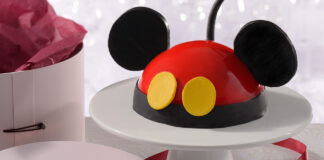 Mickey Dome Cake