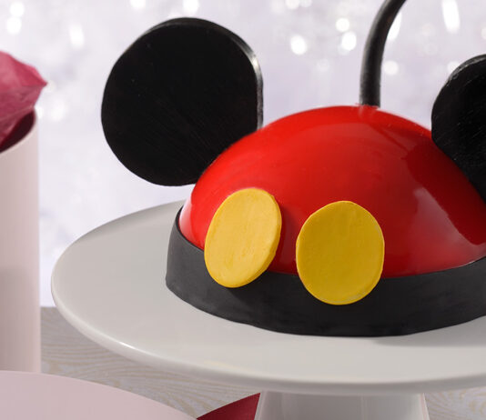 Mickey Dome Cake