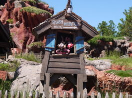 Splash Mountain