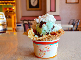 Firehouse Dalmation Mint Sundae Gibson Girl