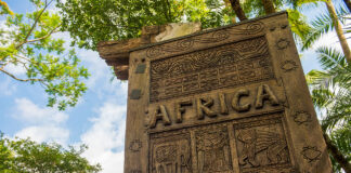 Africa Animal Kingdom