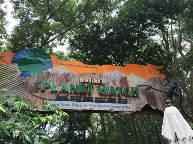 8 Fantastic Ways to Celebrate Animal Kingdom During Special Anniversary Festivities 4