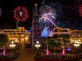 Mickeys Christmas Party Fireworks