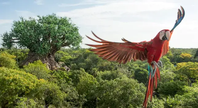 20 Things We Love About Disney's Animal Kingdom on Its 20th Anniversary 5