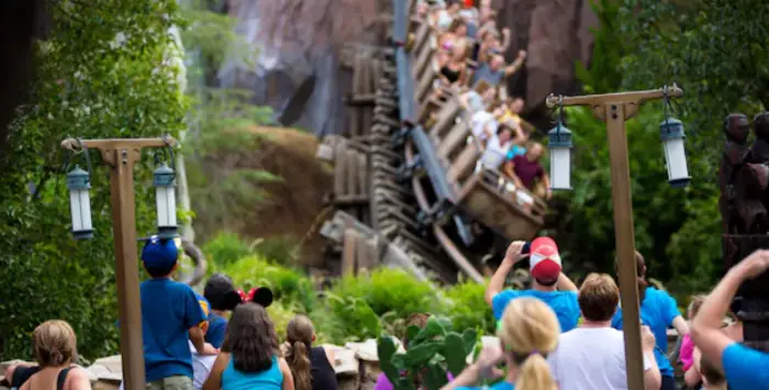 Top 10 Disney World Attractions for Adults 11