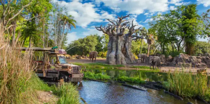 Top 10 Disney World Attractions for Adults 8