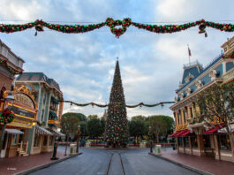 Disneyland Christmas