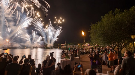 New Year's Eve Fireworks at Walt Disney World 2