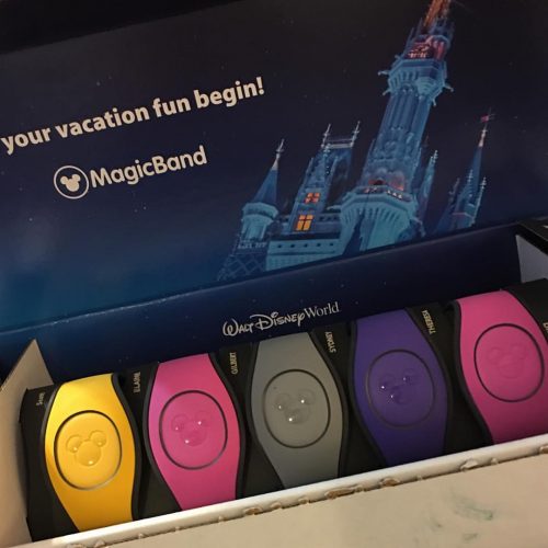 Free Souvenirs at Walt Disney World? 1