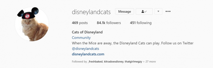 The Cats of Disneyland 1