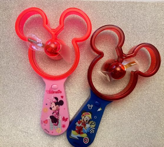 Inexpensive gifts ideas for Disney World