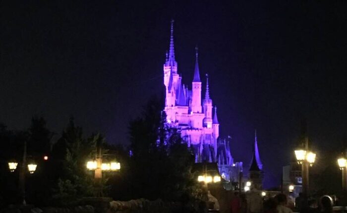 Cinderella Castle