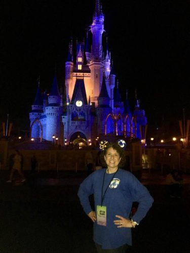 cinderella castle at night