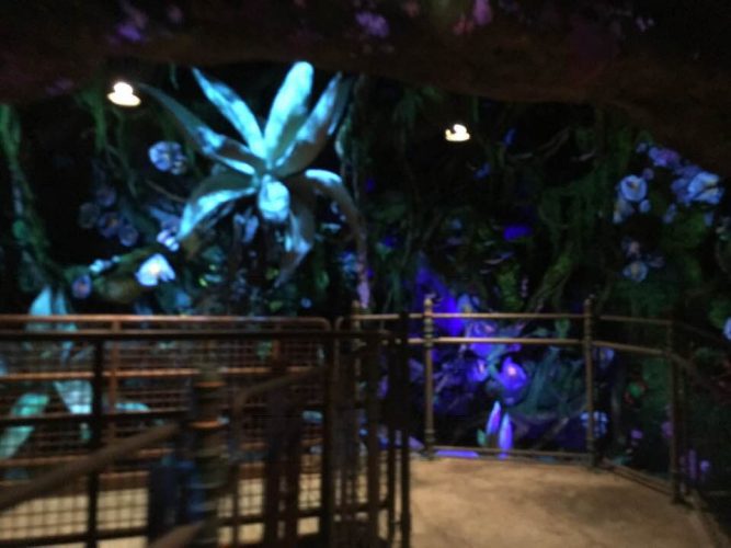 Avatar flight of passage empty queue