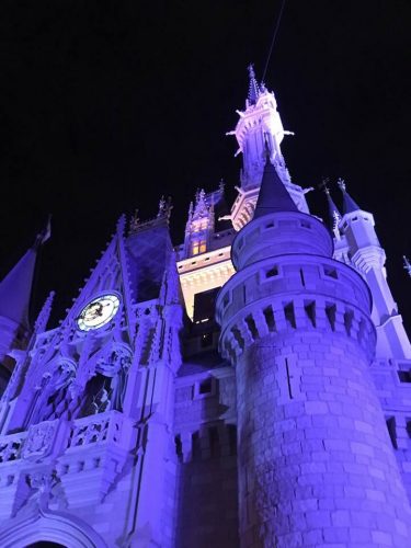 cinderella castle at night