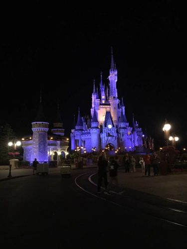 Cinderella Castle