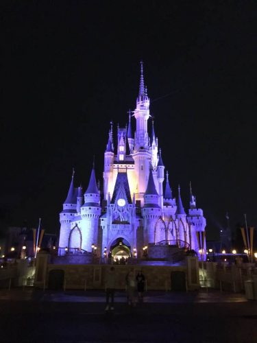 Cinderella Castle Night