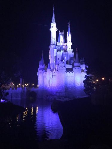 Cinderlella Castle reflection