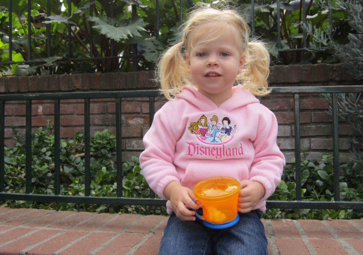 Can I Bring Outside Food Into Disneyland Parks?