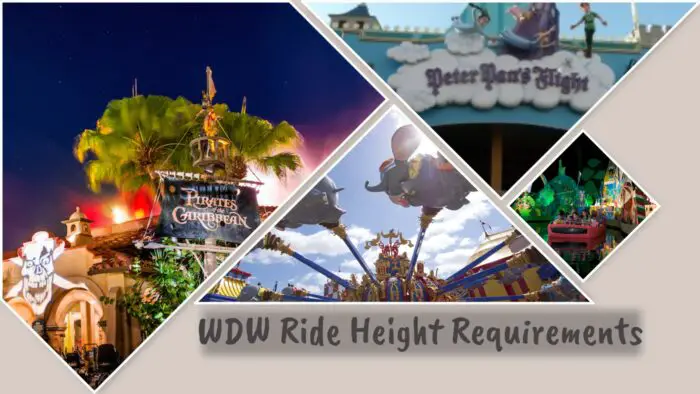 Walt Disney World Rides Height Requirements: Is My Child Tall Enough?