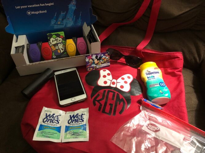 What are the Essentials in Your Disney Park Bag?