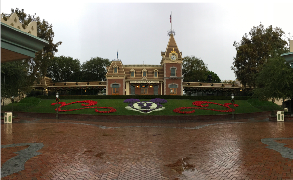It Rains in Disneyland?! What Can You do on a Rainy Day in Disneyland