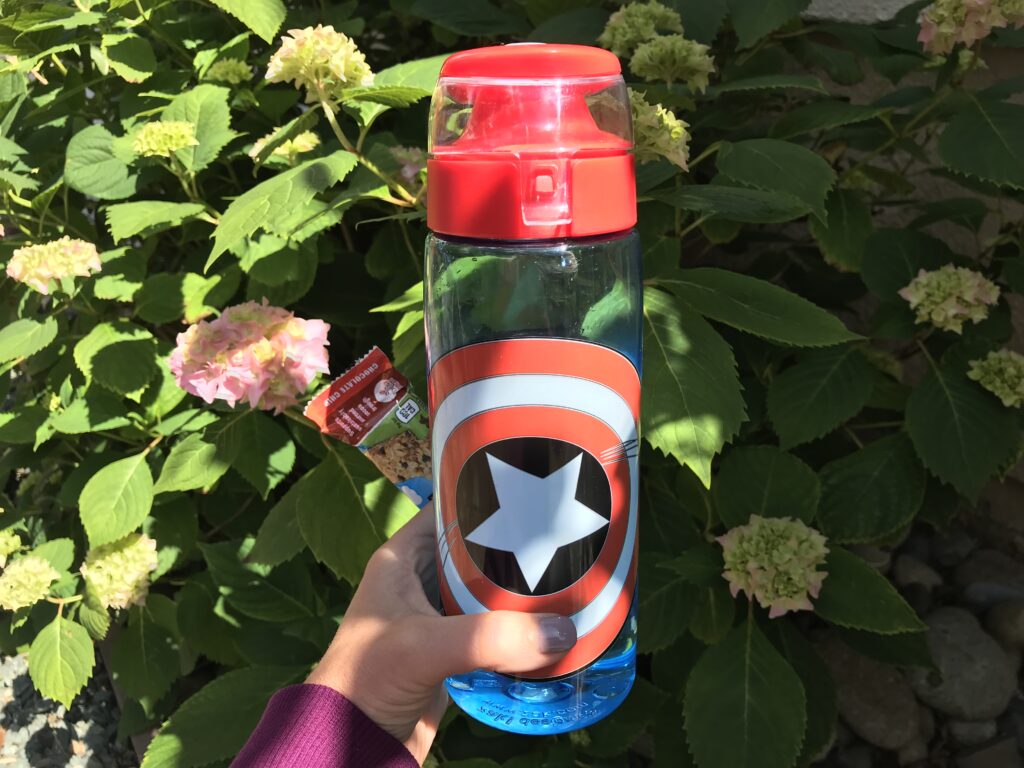 Can I Bring Outside Food into the Disney World Parks?