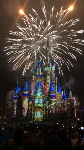 Top 7 Tips For Doing Magic Kingdom Like A Pro 1