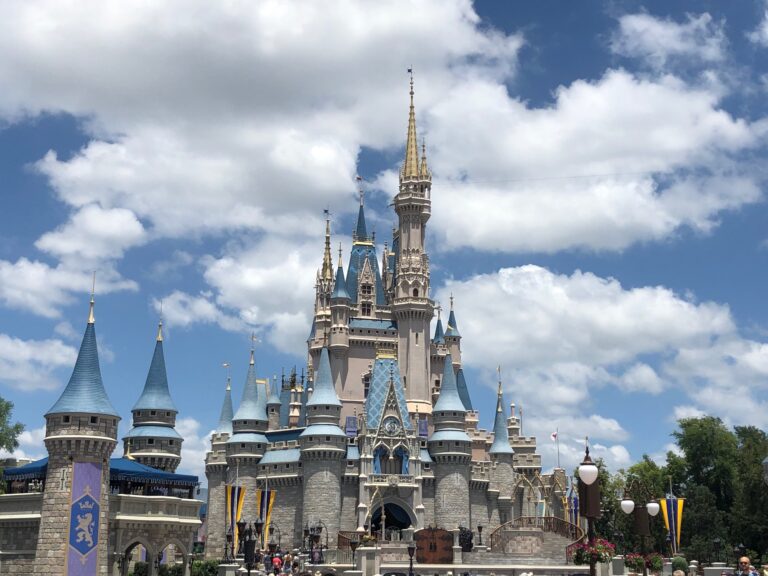 CinderellaCastle Favorite