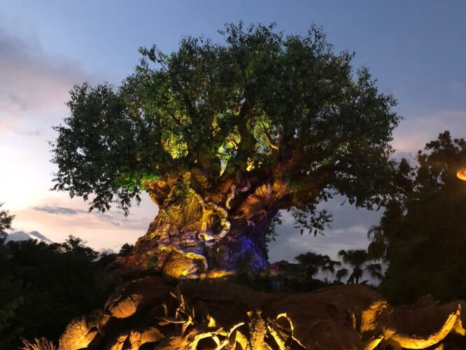 5 Rookie Mistakes to Avoid at Disney's Animal Kingdom