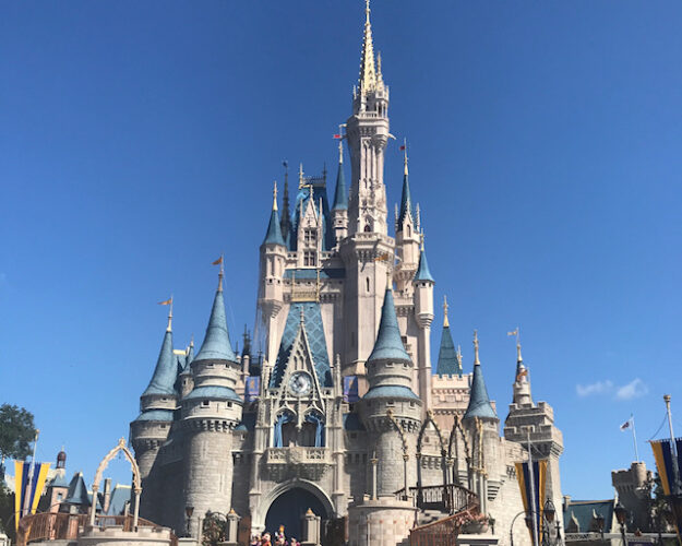 Why You Should Pick WDW For Your Next Family Vacation 1