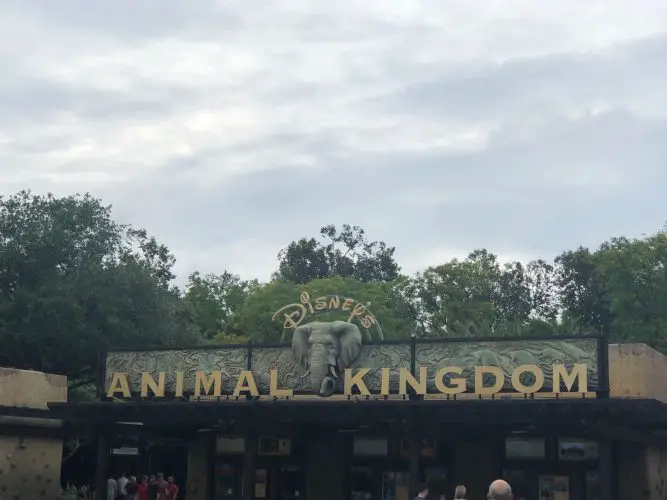 5 Rookie Mistakes to Avoid at Disney's Animal Kingdom 2