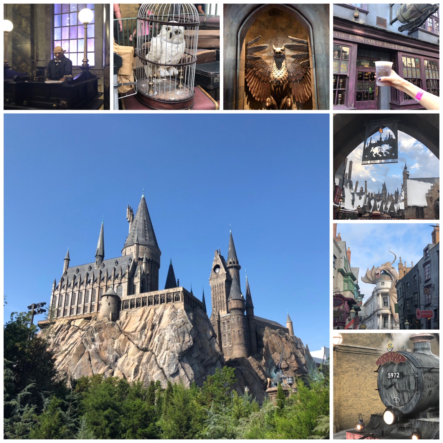 6 Great Reasons to Visit Universal Orlando Resort