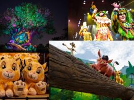 animal kingdom collage