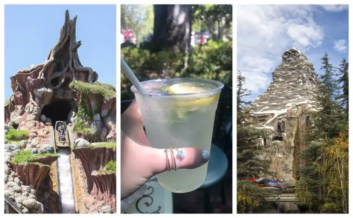 Tips for Staying Cool at the Disneyland Resort 3